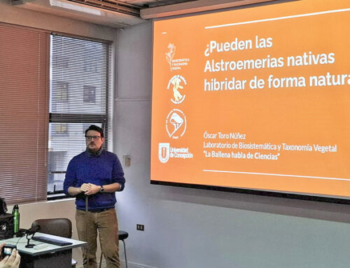 Estudiantes de Postgrado FCNO retoman ciclo de charlas de La Ballena habla de Ciencia