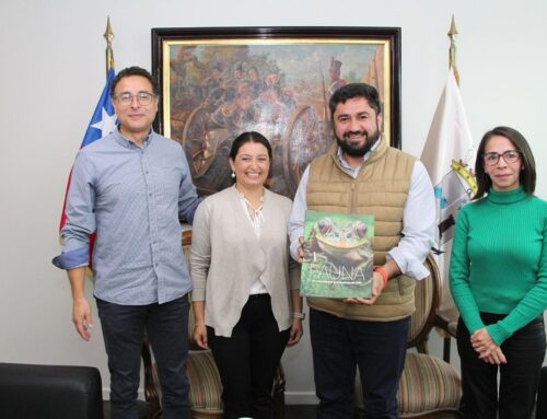 Académicos del Departamento de Zoología UdeC donan libros a la Municipalidad de Talcahuano