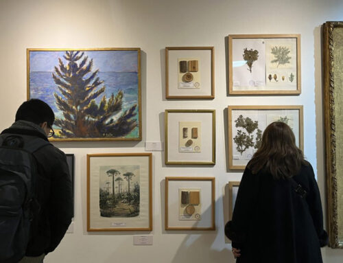 Inauguran exposición “Herbario CONC: 100 años de custodia botánica” en la Casa del Arte