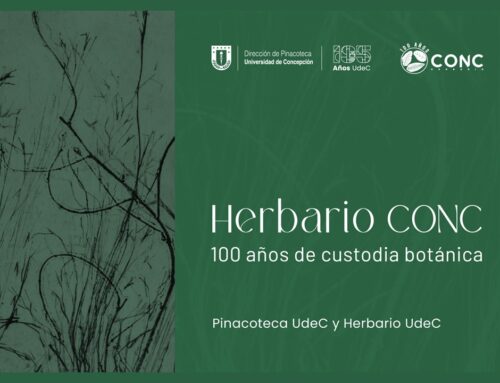 Herbario CONC y Casa del Arte UdeC invitan a Taller de Arte y Ciencia para educadores