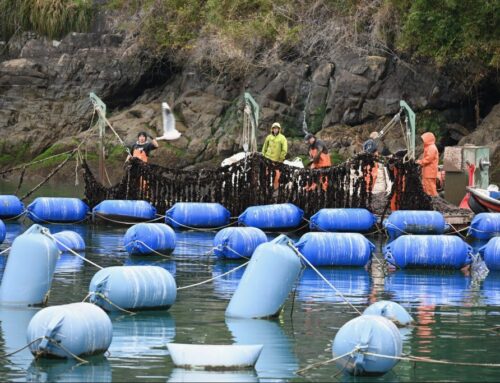 Incar entrega propuesta de recomendaciones para integrar pesca y acuicultura en la nueva legislación